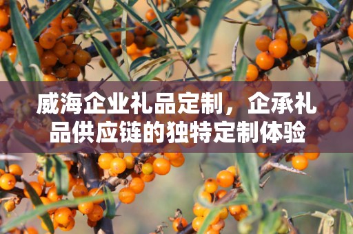 威海企业礼品定制，企承礼品供应链的独特定制体验