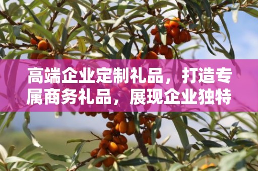 高端企业定制礼品，打造专属商务礼品，展现企业独特魅力