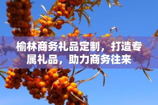 榆林商务礼品定制，打造专属礼品，助力商务往来